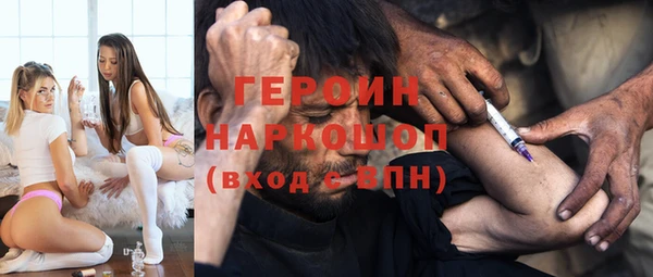 индика Аркадак