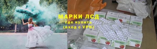 индика Аркадак