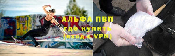 шишки Армянск