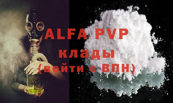 индика Аркадак