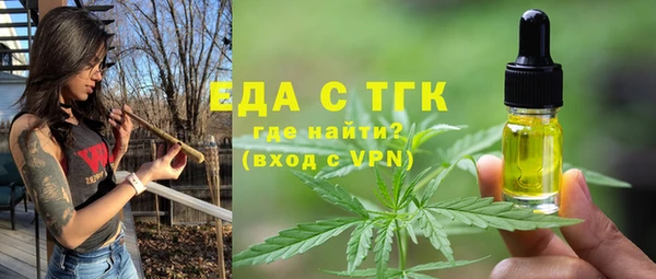 индика Аркадак