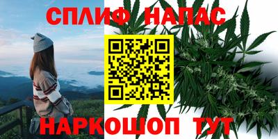 ALPHA PVP Будённовск