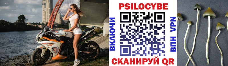 Псилоцибиновые грибы прущие грибы Мурманск