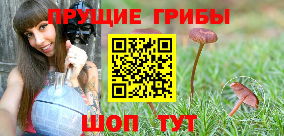 Псилоцибиновые грибы мухоморы Мурманск