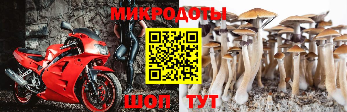Галлюциногенные грибы прущие грибы  Псилоцибиновые грибы Magic Shrooms  Вход с VPN  Мурманск 